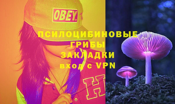 ALPHA PVP Пролетарск
