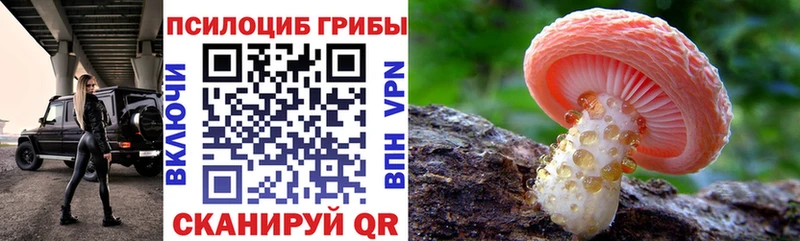 Псилоцибиновые грибы ЛСД  Томари 