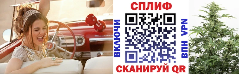 Шишки марихуана ГИДРОПОН Томари
